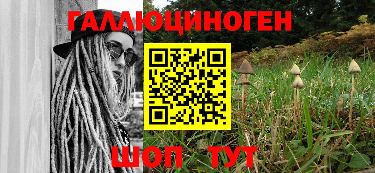 Галлюциногенные грибы MAGIC MUSHROOMS Донецк